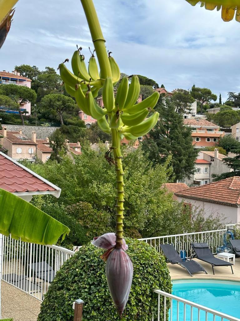 Hotel La Fiancee Du Pirate Villefranche-sur-Mer Exterior foto